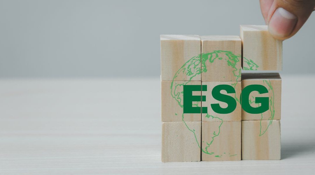 Comment intégrer les critères ESG dans sa stratégie d&rsquo;investissement ?