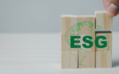 Comment intégrer les critères ESG dans sa stratégie d&rsquo;investissement ?