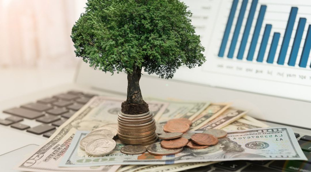 Comment diversifier son portefeuille d&rsquo;investissements ?