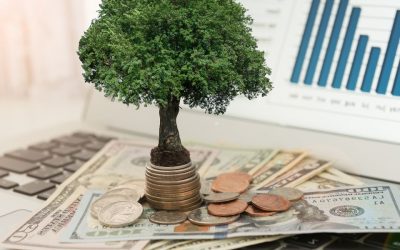 Comment diversifier son portefeuille d’investissements ?