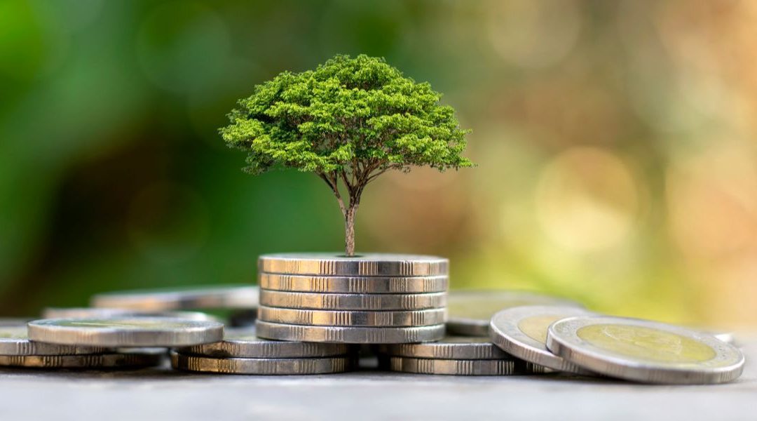 Comment élaborer une stratégie d&rsquo;investissement pour maximiser Vos placements ?