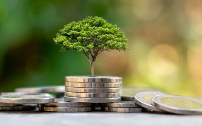Comment élaborer une stratégie d’investissement pour maximiser Vos placements ?